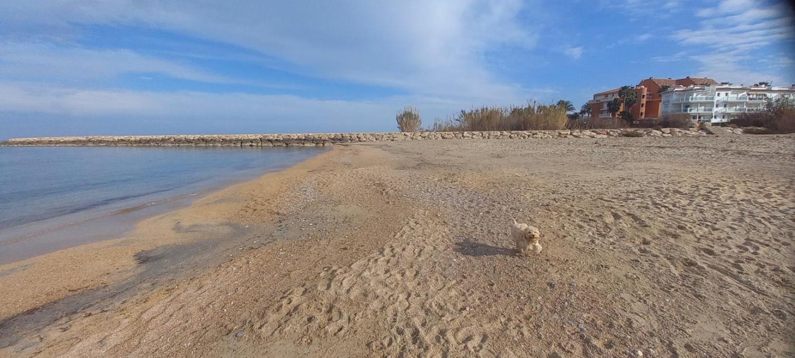 Beach View - Primera Linea Lujo Denia Zewnętrze zdjęcie